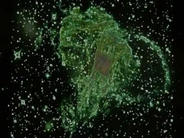 Texas - Alone with you